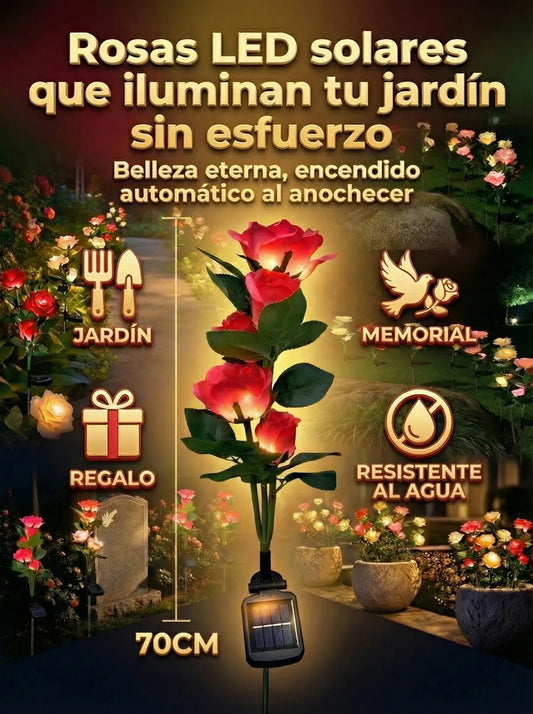 Rosas LED Solares