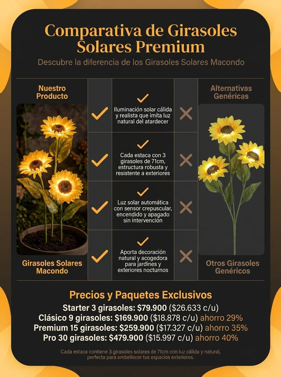 Girasoles Solares Macondo