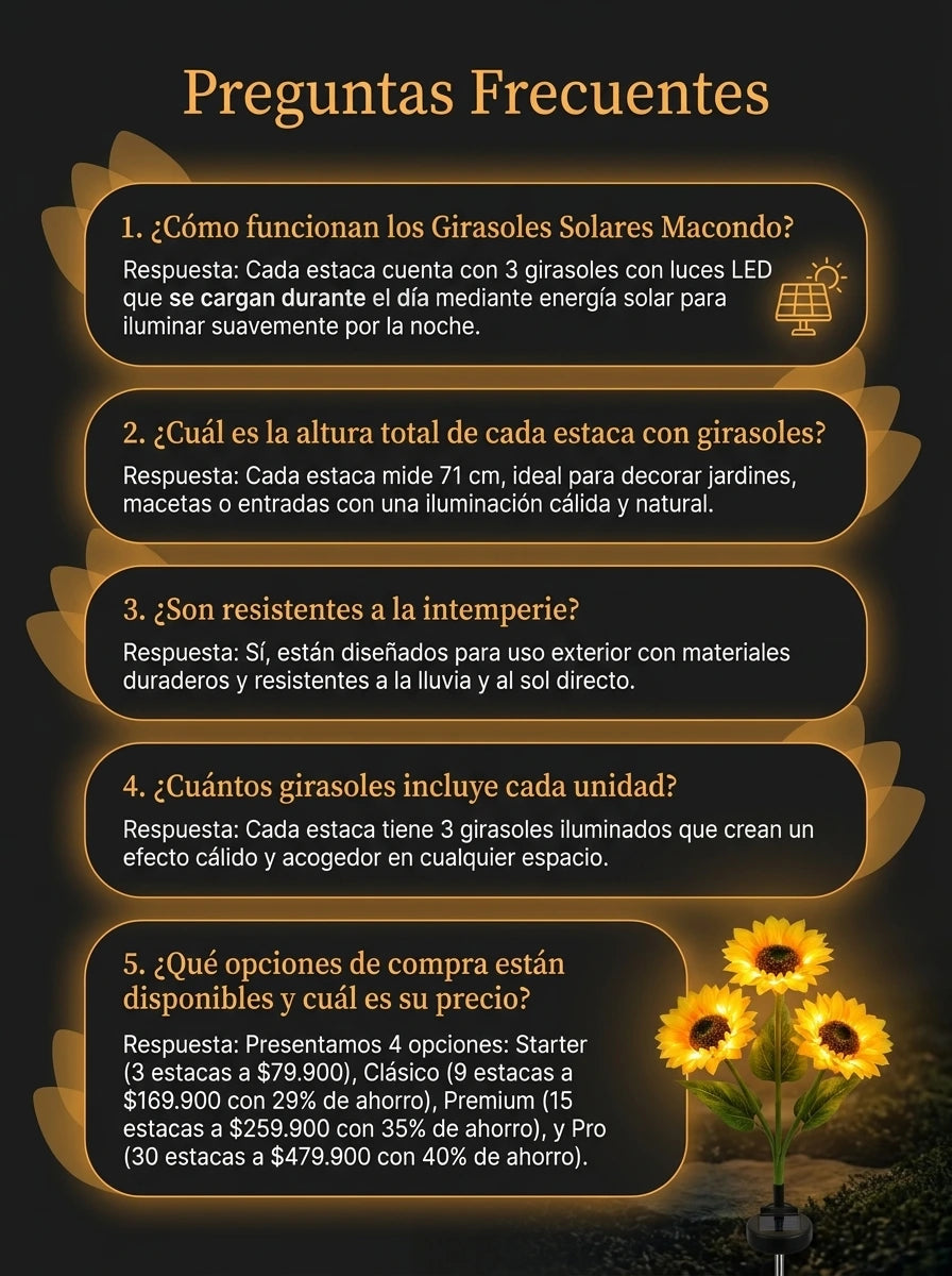 Girasoles Solares Macondo