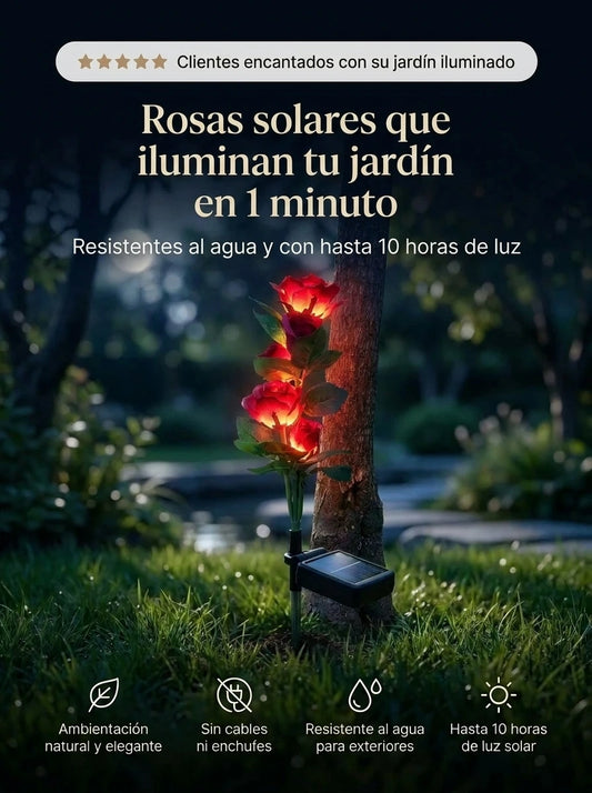 Rosas LED Solares