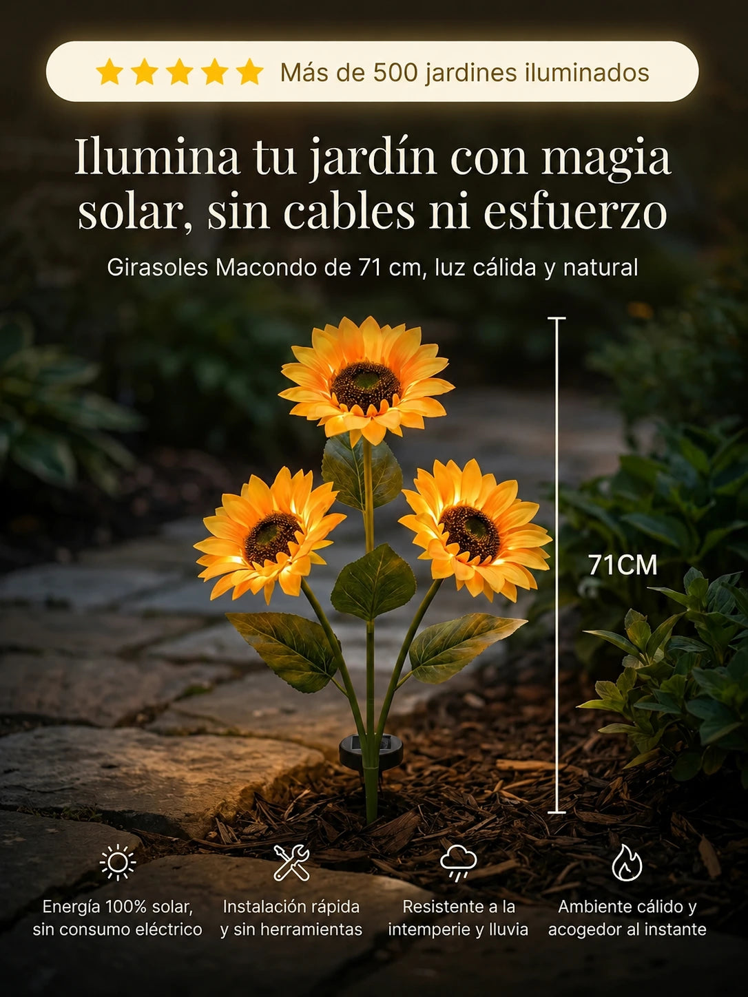 Girasoles Solares Macondo