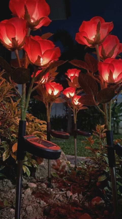 Rosas LED Solares