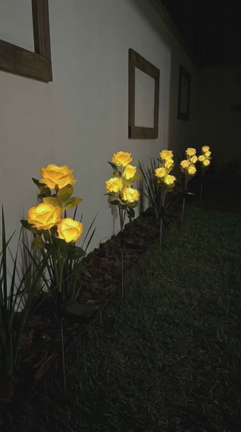 Rosas LED Solares